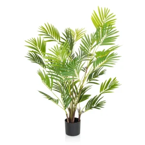 ARECA I - Tekokasvi