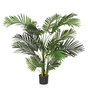 ARECA II - Tekokasvi