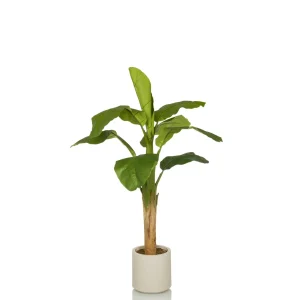 BANANE I - Tekokasvi