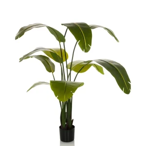 BANANE - Tekokasvi